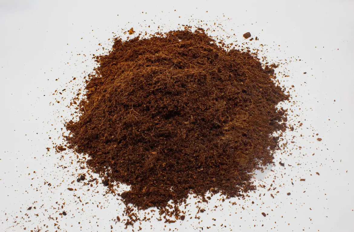 Coir Discs 75-80mm - pack of 10