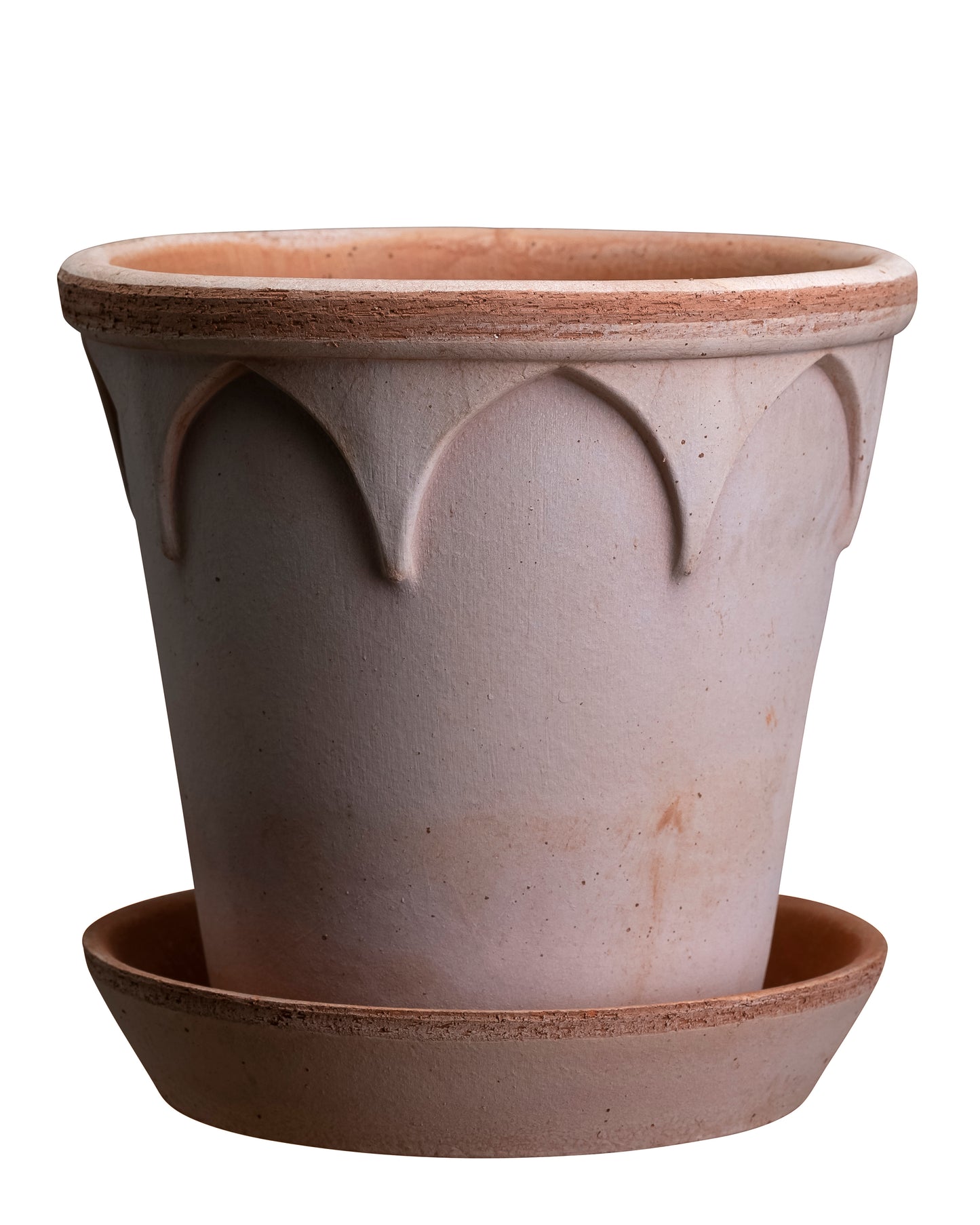 Elizabeth rose pot