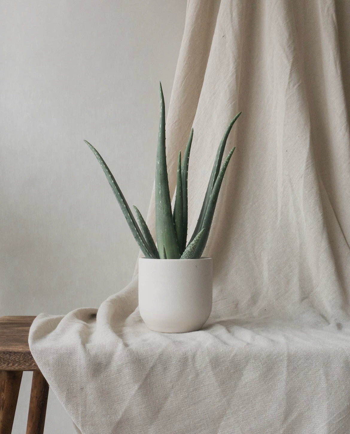 Broadway chalk plant pot