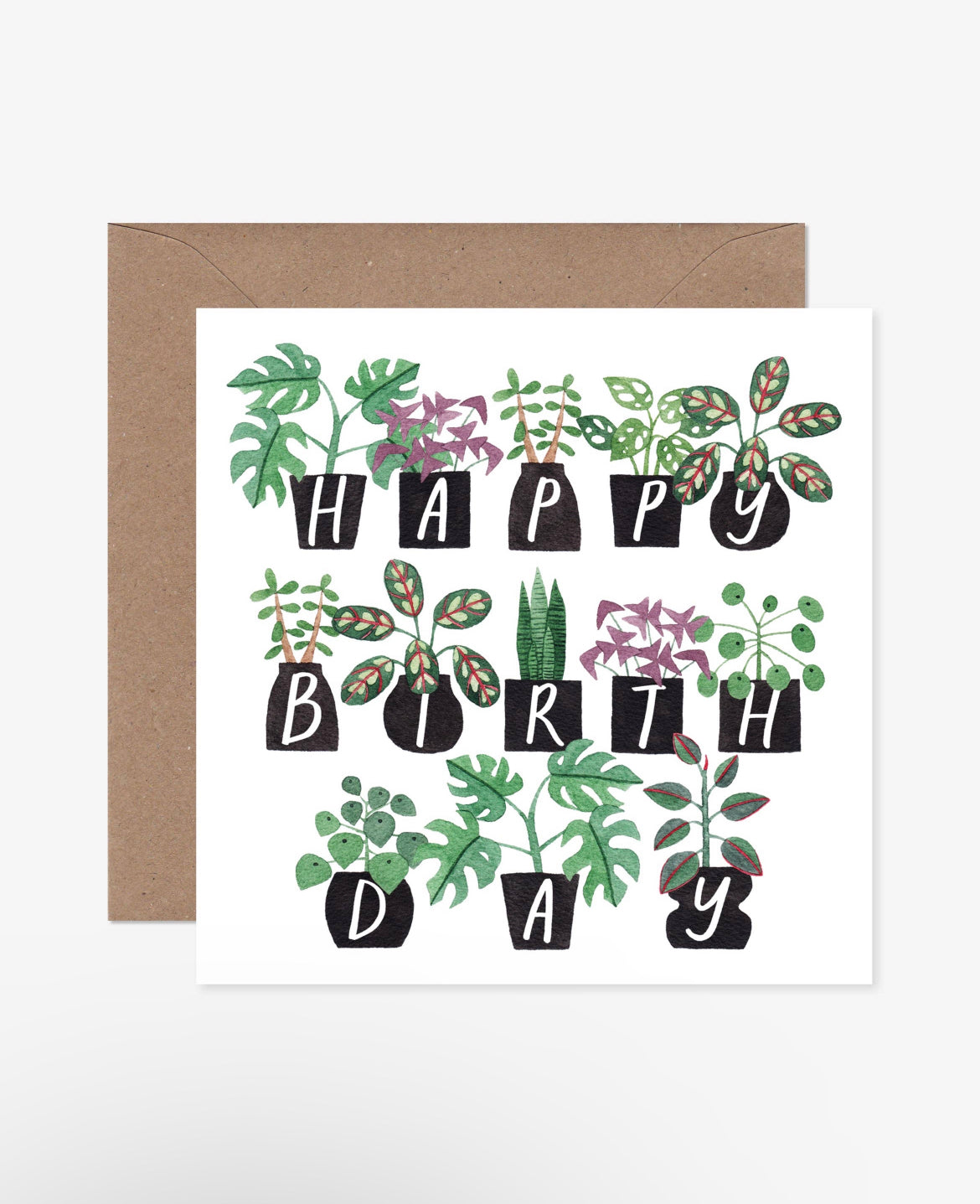 Potter plants happy birthday card