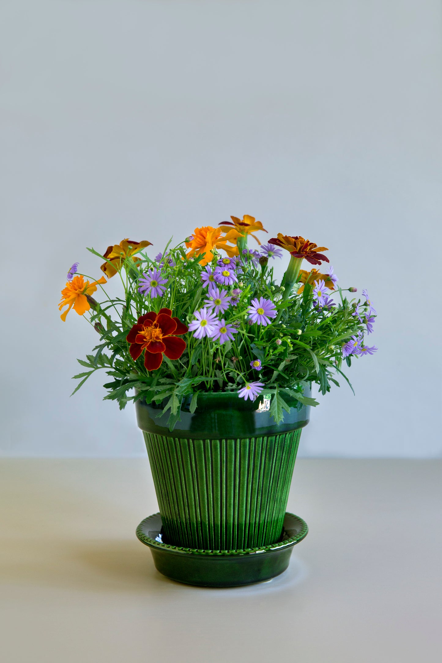 Simona glazed pot