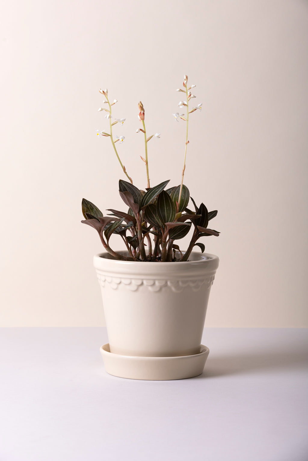 Bergs potter Copenhagen glazed pot