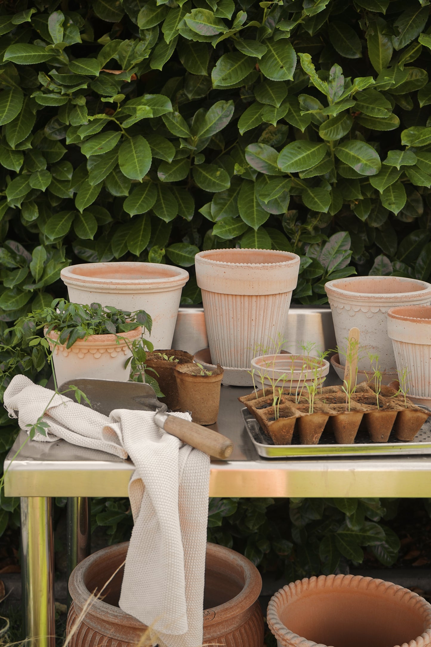 Bergs potter Simona rose pot