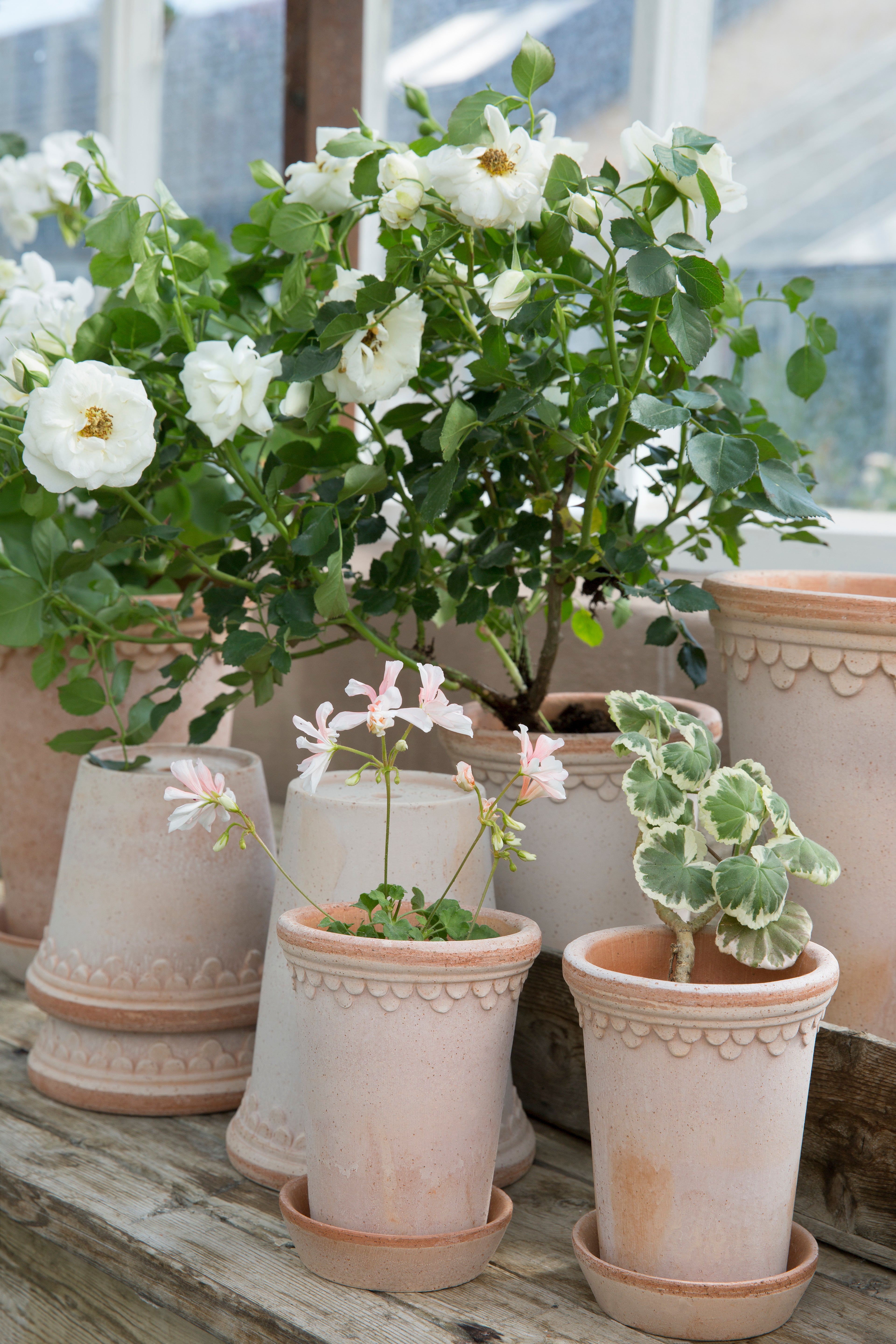 Bergs potter Copenhagen tall rose pot
