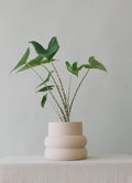 Stoneware bubble plant pot