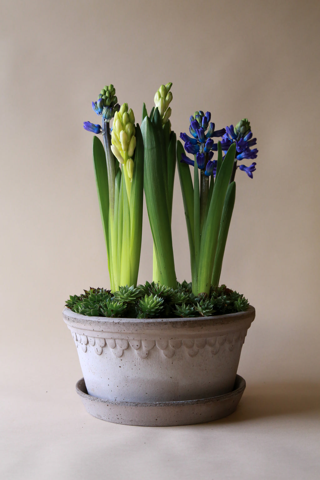 lower Copenhagen Pot