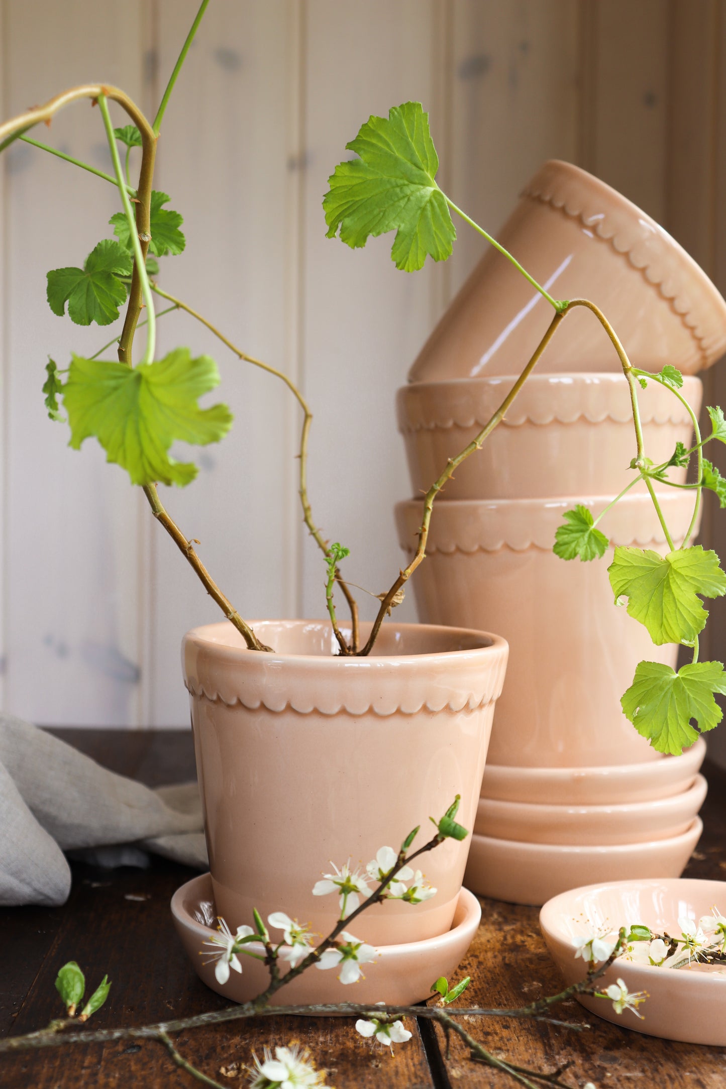Helena rose glazed pot