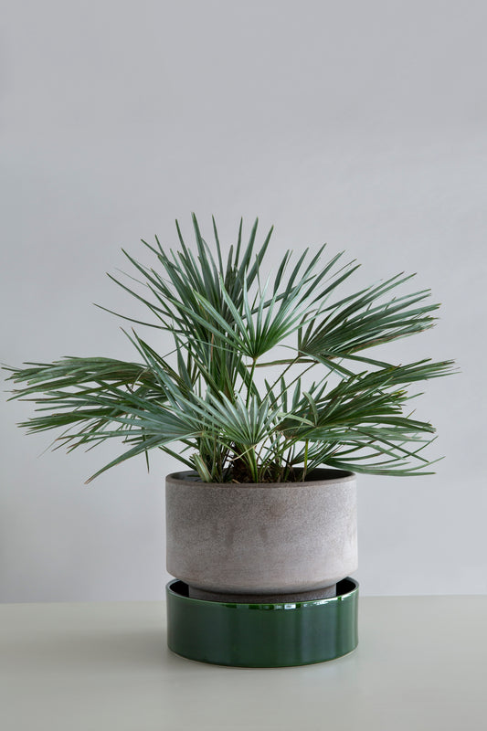 Bergs Potter Hoff pot