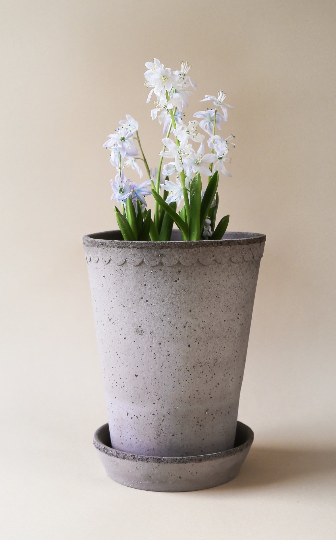 Helena tall grey pot