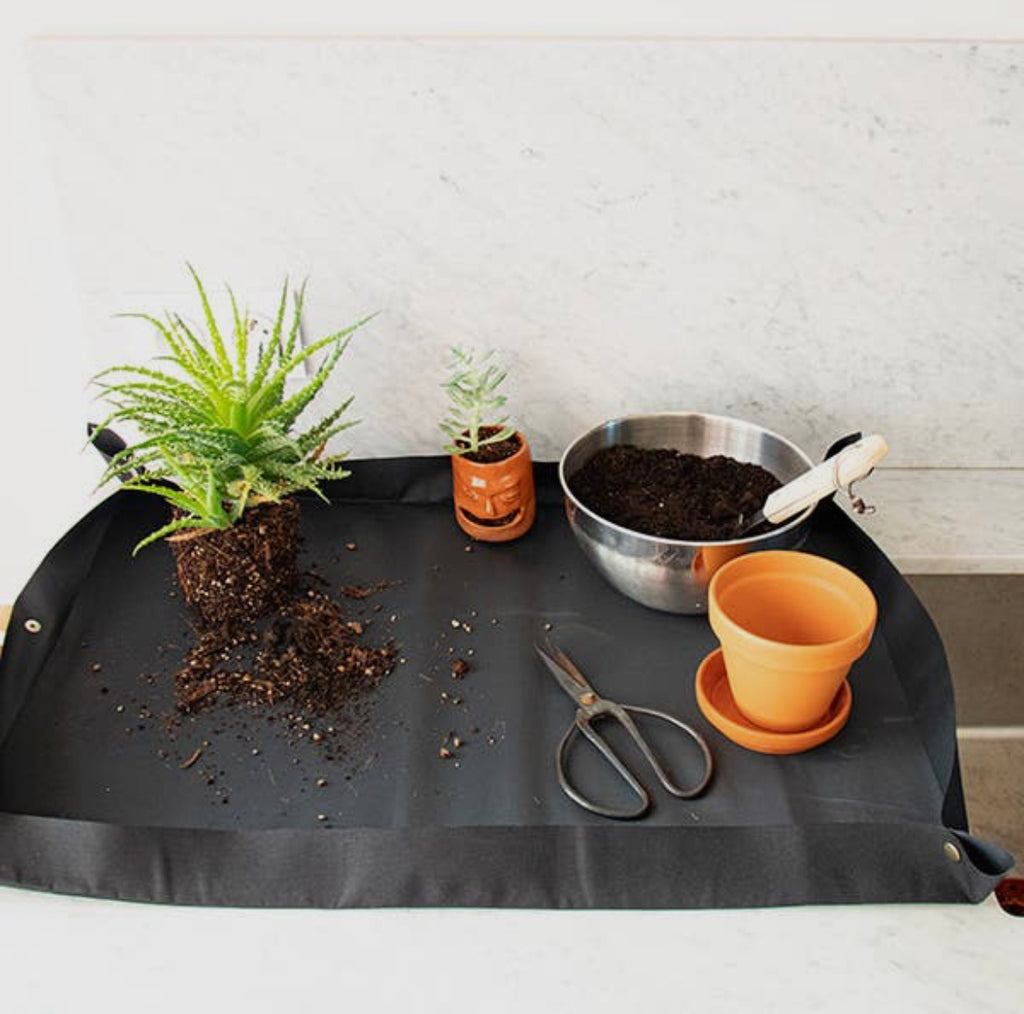 Repotting mat