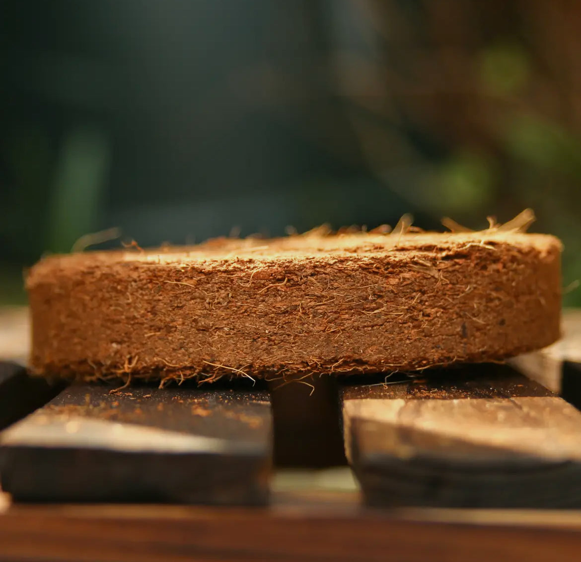 Coir Discs 75-80mm - pack of 10