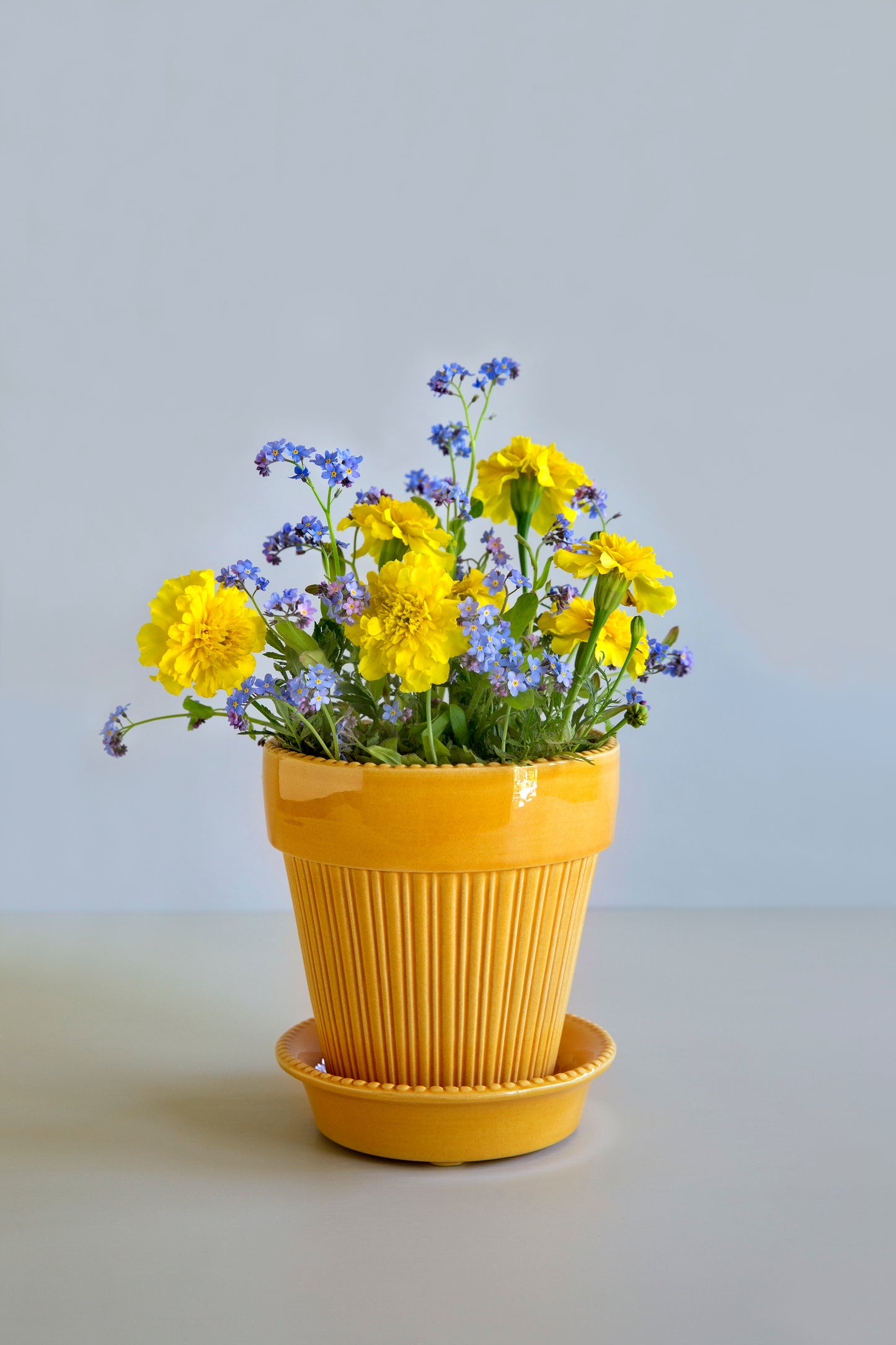 Simona glazed pot