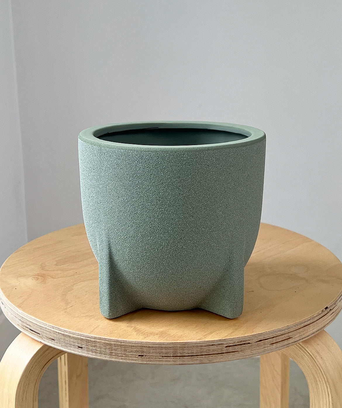 Windsor sage plant pot