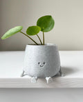 Happy Harry pot