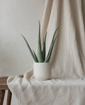 Broadway chalk plant pot