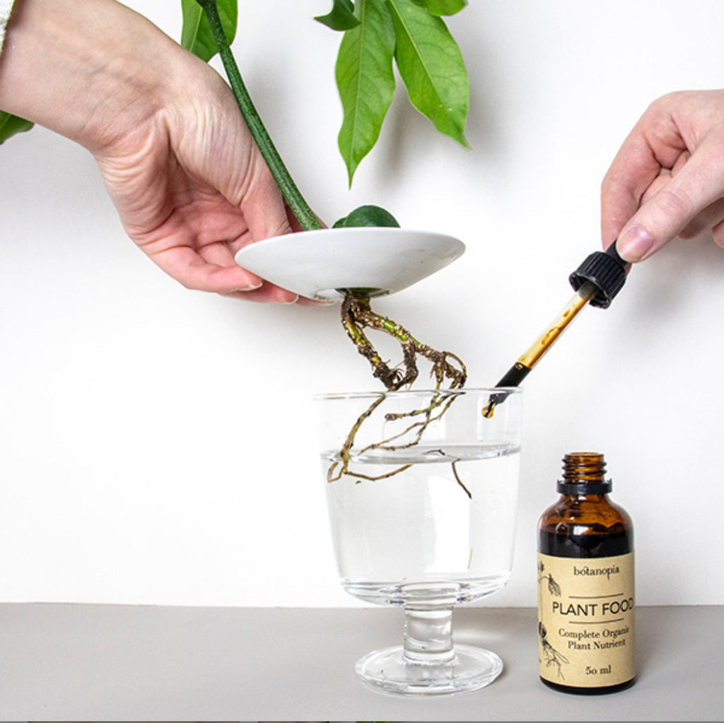 Plant food-50ml