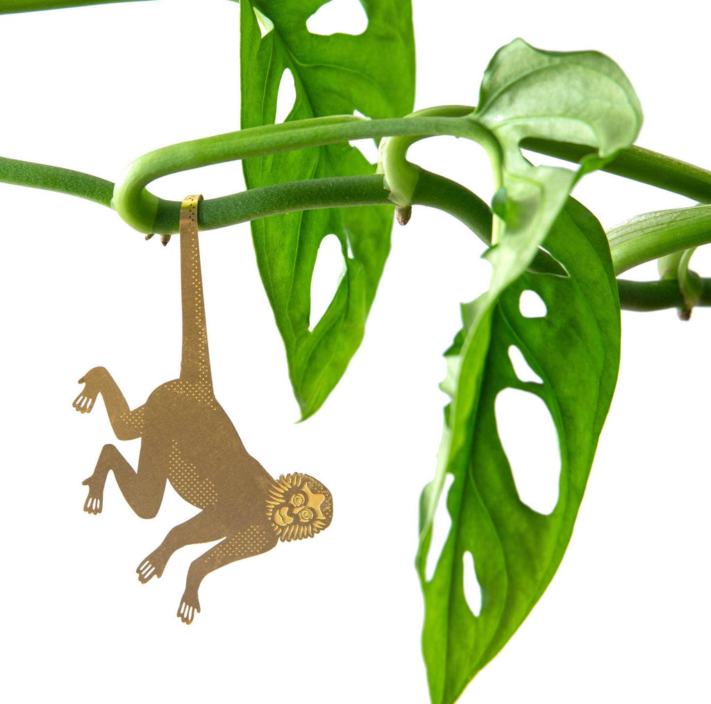 Plant animals - houseplant decoration