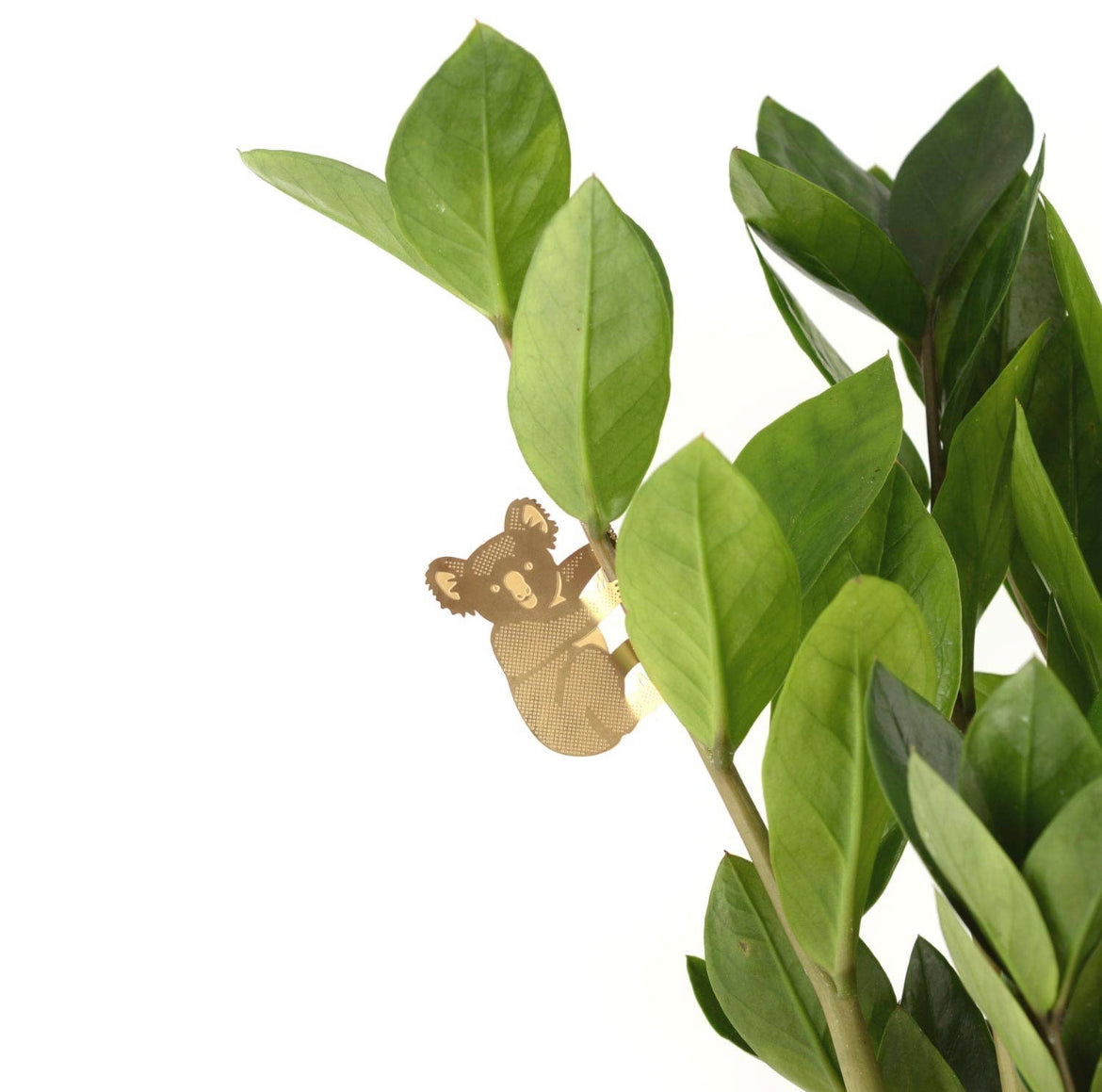 Plant animals - houseplant decoration