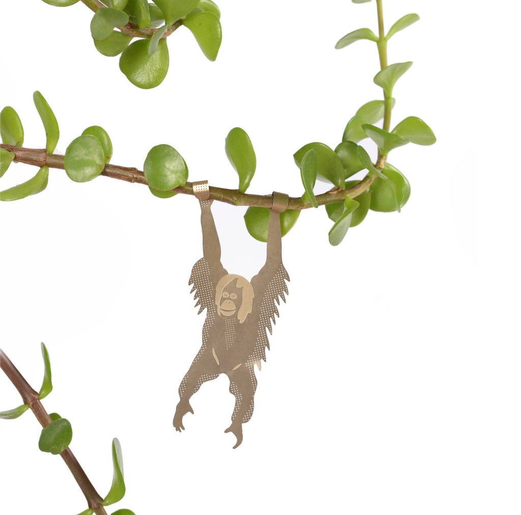 Plant animals - houseplant decoration